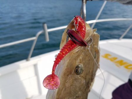 Magic（マジック） 釣果