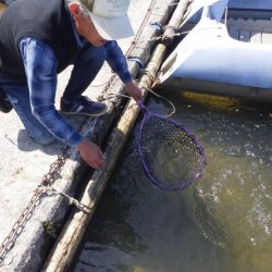 フィッシングレイクたかみや 釣果
