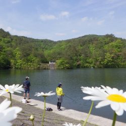 フィッシングレイクたかみや 釣果