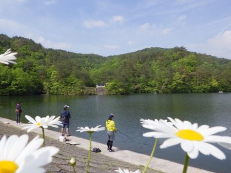 フィッシングレイクたかみや 釣果
