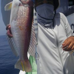 遊漁船 新鋭丸 釣果