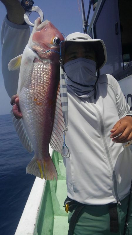 遊漁船 新鋭丸 釣果