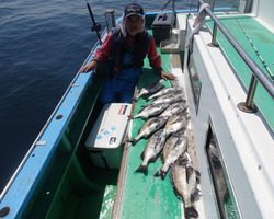 久里浜黒川本家 釣果