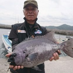 しば渡船 釣果
