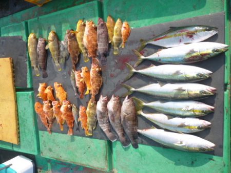 真祐丸 (しんゆうまる) 釣果