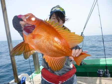 真祐丸 (しんゆうまる) 釣果