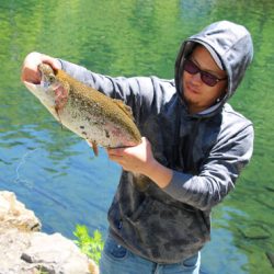 小菅トラウトガーデン 釣果