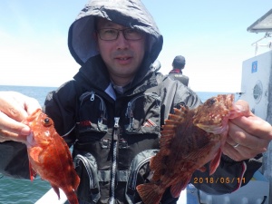 石川丸 釣果