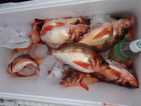 第二むつ漁丸 釣果