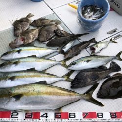 ふじしめ丸 釣果