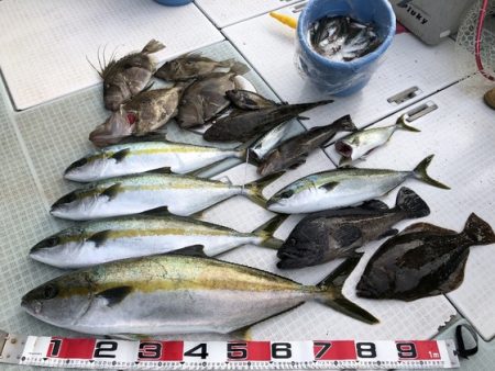 ふじしめ丸 釣果