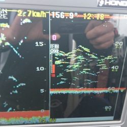 遊漁船ブルーウッズ 釣果