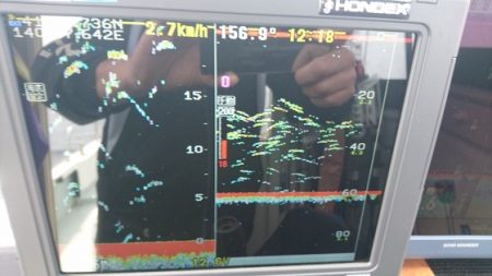 遊漁船ブルーウッズ 釣果