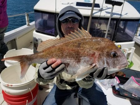 遊漁船　ニライカナイ 釣果