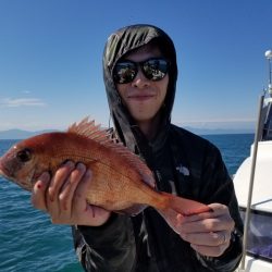 遊漁船 ニライカナイ 釣果