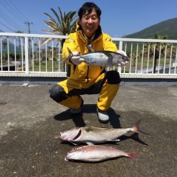 フィッシングハウス伊藤 釣果