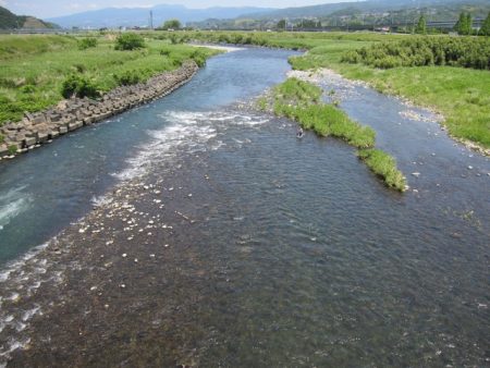 狩野川(狩野川漁業協同組合) 釣果