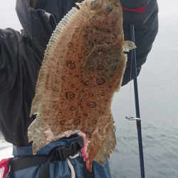 遊漁船ブルーウッズ 釣果