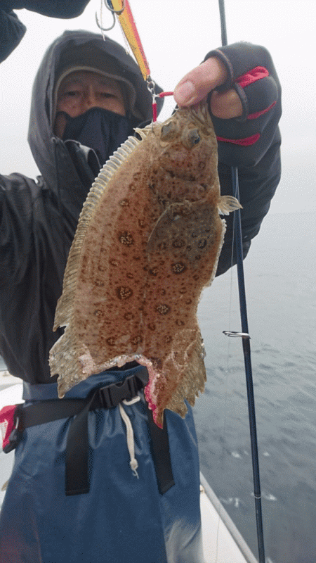 遊漁船ブルーウッズ 釣果
