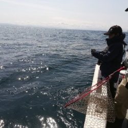 IDATEN（イダテン） 釣果