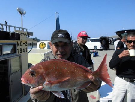大進丸(新潟) 釣果