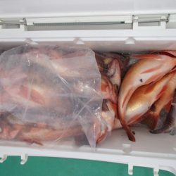 第二むつ漁丸 釣果