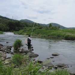 狩野川(狩野川漁業協同組合) 釣果