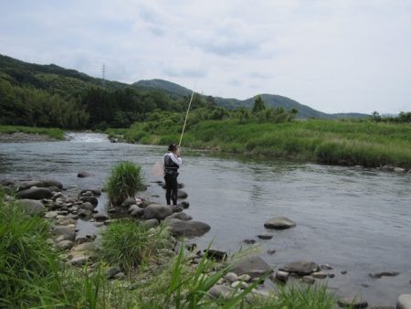 狩野川（狩野川漁業協同組合） 釣果