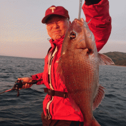 遊漁船ブルーウッズ 釣果