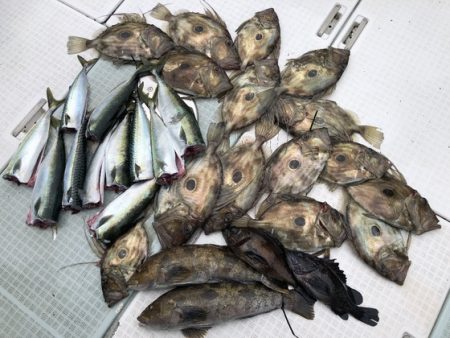 ふじしめ丸 釣果
