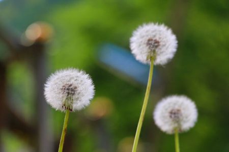 小菅トラウトガーデン 釣果