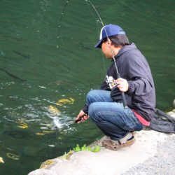 小菅トラウトガーデン 釣果