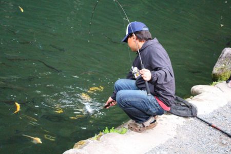 小菅トラウトガーデン 釣果