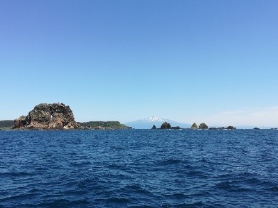 IDATEN（イダテン） 釣果