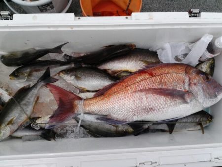 第二大福丸 釣果