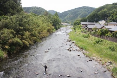 狩野川(狩野川漁業協同組合) 釣果
