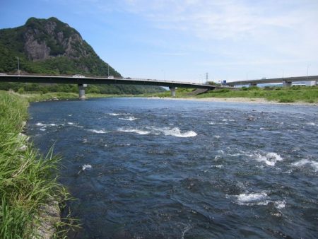狩野川(狩野川漁業協同組合) 釣果