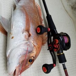 遊漁船 ニライカナイ 釣果