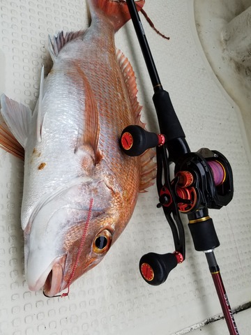 遊漁船 ニライカナイ 釣果