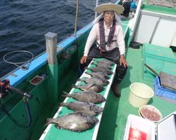 久里浜黒川本家 釣果