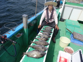 久里浜黒川本家 釣果