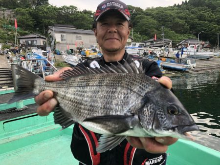 由良渡船 釣果