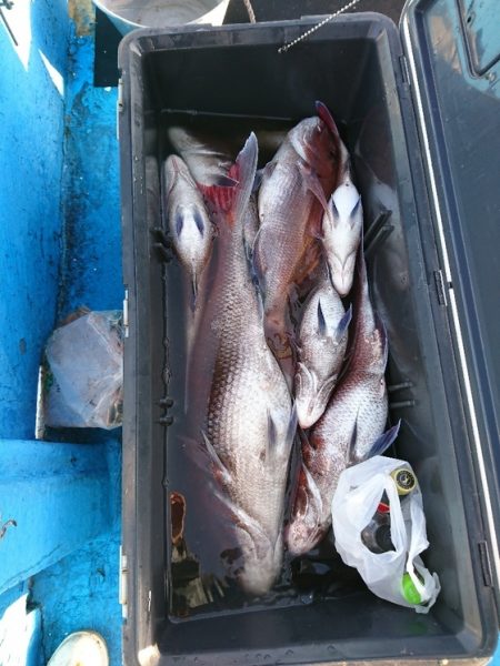 龍神丸（福井） 釣果