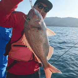 遊漁船ブルーウッズ 釣果