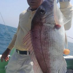 遊漁船 新鋭丸 釣果