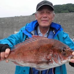 大進丸(新潟) 釣果