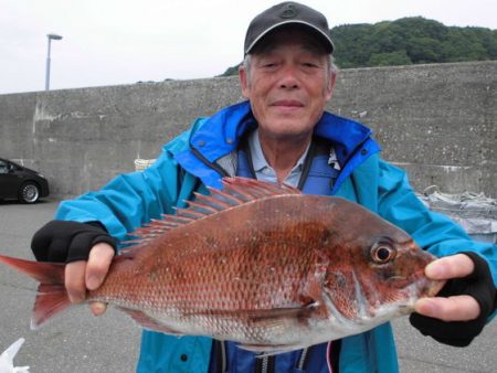 大進丸(新潟) 釣果