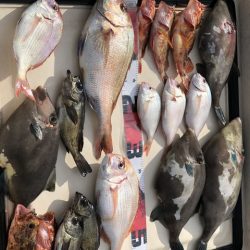 第二辰丸 釣果