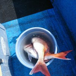 龍神丸（福井） 釣果