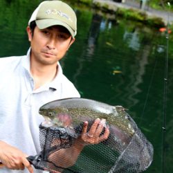 小菅トラウトガーデン 釣果